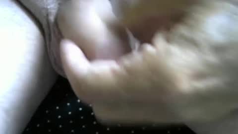 jimismiles online show from October 2025 06:16:02 PM