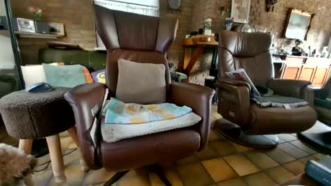 johan7 heet online show from July 2026 05:00:01 PM