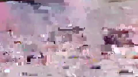 johdie online show from February 2026 08:19:01 AM