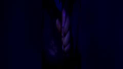 johnbruce23 online show from June 2026 11:37:01 AM