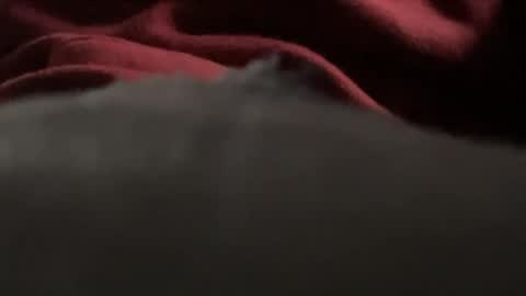 JohnR89 online show from March 2026 08:36:02 PM