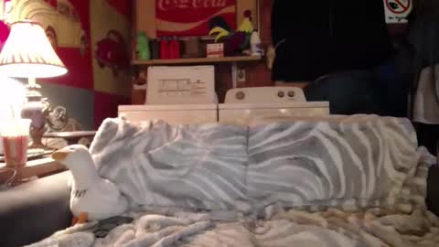 Johston online show from May 2026 12:41:01 AM