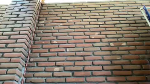 JorgeMAXX online show from February 2025 08:34:02 PM