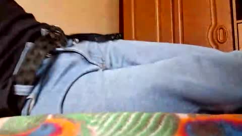 juan488826 online show from March 2026 06:01:01 PM