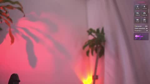 Sisi online show from April 2026 04:46:01 AM