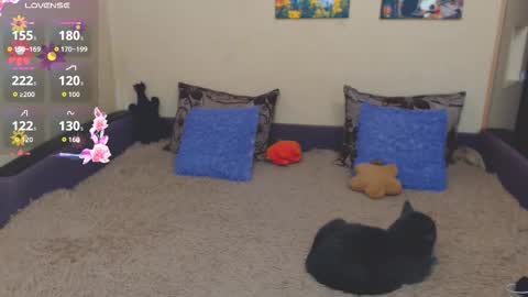 Jul online show from February 2026 02:40:02 PM