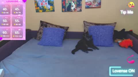 Snapshot of juliasane_ chatting on May 2026 12:44:02 PM Jul online show from May 2026 12:44:02 PM