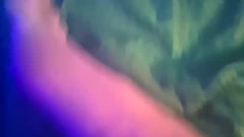 Yuri online show from March 2025 12:11:02 AM