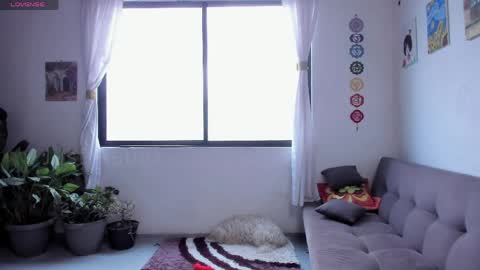 Sofia online show from April 2026 01:48:02 PM