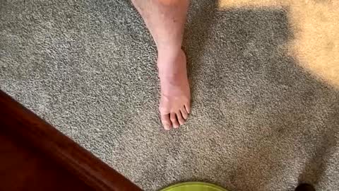 justanudedude online show from December 2024 01:38:02 PM