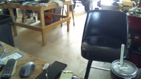 justmeohio online show from April 2026 06:36:02 PM