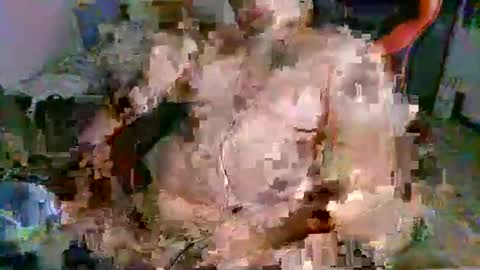 juteja online show from September 2025 10:20:01 PM