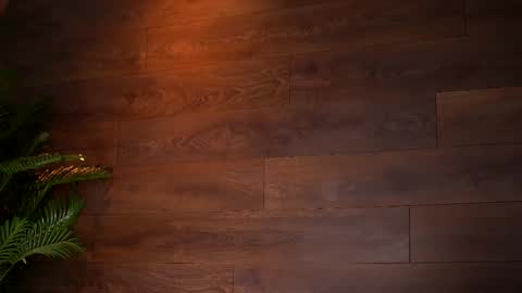 Kaira online show from March 2026 08:04:01 PM