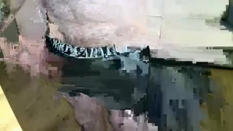 MusicMen49 online show from December 2024 08:27:02 AM