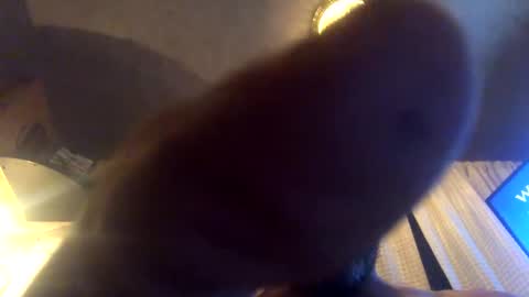 Tucker online show from September 2025 08:06:01 AM