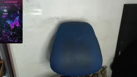 Sanctuary online show from January 2025 03:51:01 PM