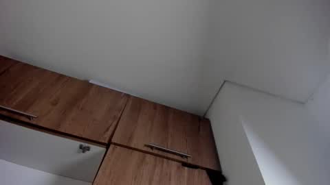 Snapshot of karina_aurora chatting on January 2026 04:28:01 AM karina_aurora online show from January 2026 04:28:01 AM