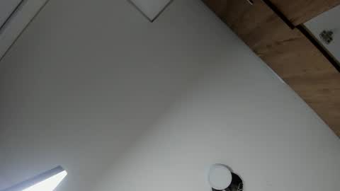 Snapshot of karina_aurora chatting on February 2026 04:19:01 AM karina_aurora online show from February 2026 04:19:01 AM