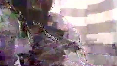 Karlos Montoya online show from January 2025 10:54:01 AM