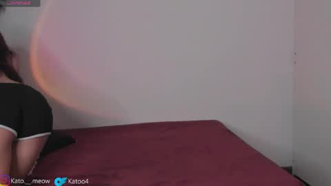 Kato online show from April 2026 04:48:02 AM