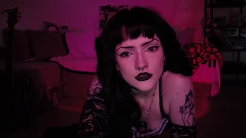 kattattacck online show from June 2026 07:03:02 PM