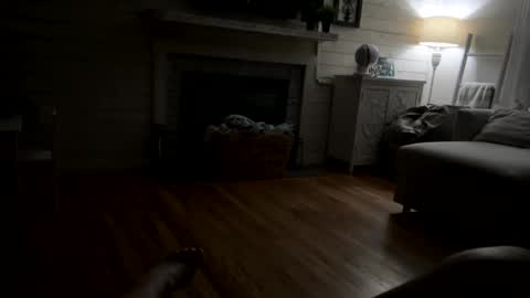 Kay9 online show from April 2026 09:49:01 AM