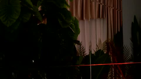 Denise online show from April 2026 02:20:02 AM