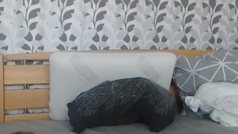 Snapshot of kelywild20 chatting on July 2026 07:06:02 AM kelywild20 online show from July 2026 07:06:02 AM
