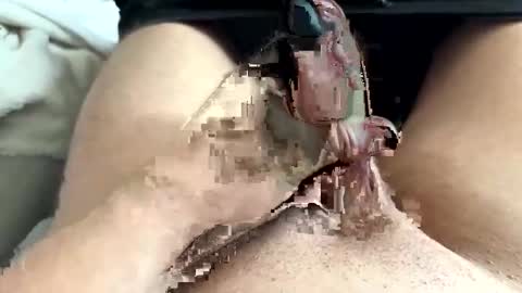 K636284 online show from March 2026 12:20:02 PM