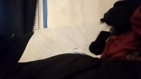 Snapshot of kickitwithfrankie chatting on January 2026 06:41:02 AM Frankie online show from January 2026 06:41:02 AM