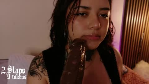     online show from March 2026 12:16:02 PM