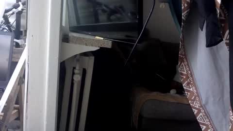 Kinky Himeros online show from May 2026 03:30:02 PM