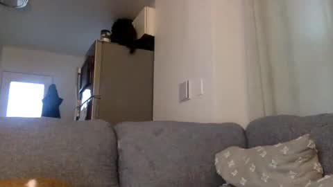 Snapshot of kinnkybwc chatting on March 2026 11:16:01 PM kinnkybwc online show from March 2026 11:16:01 PM