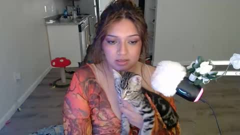 kittengonewild online show from May 2026 11:32:02 PM