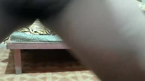 Kitty online show from March 2026 10:49:01 PM