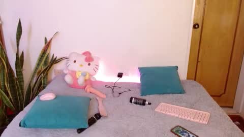 Snapshot of kittycatw chatting on February 2026 05:55:02 AM LAURA help me reach 100likes online show from February 2026 05:55:02 AM