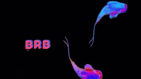 knowlita  online show from March 2026 08:27:02 PM