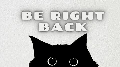   online show from April 2026 04:02:02 AM