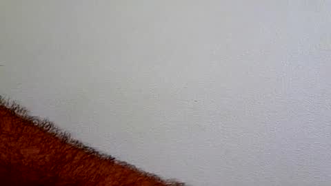 l0cean online show from July 2026 02:47:02 AM