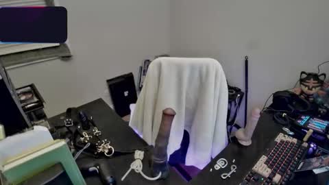 ladymeep online show from February 2026 11:20:02 PM