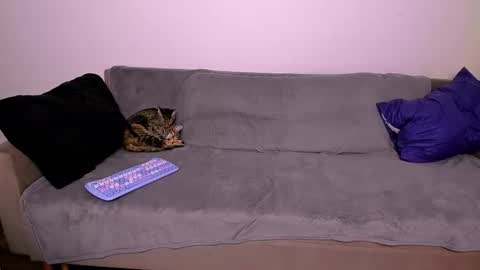 LadyTrep online show from January 2026 07:56:02 PM