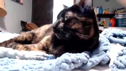 Lance online show from March 2026 11:11:02 PM