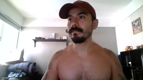wolves online show from July 2026 10:08:01 PM
