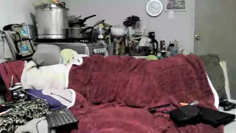 Snapshot of lauradecuada2 chatting on February 2026 04:38:02 AM lauradecuada2 online show from February 2026 04:38:02 AM