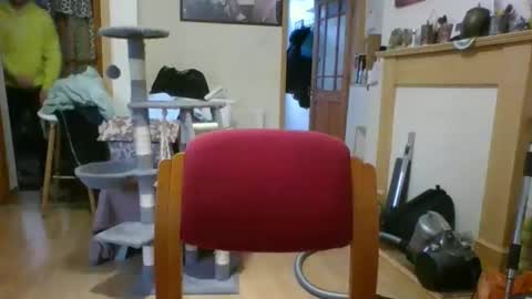 lauratedomm online show from March 2026 04:00:01 PM