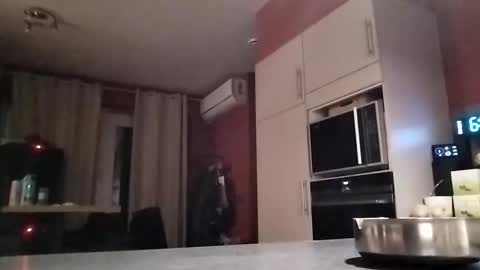 Snapshot of law9102 chatting on December 2025 05:45:02 AM Law online show from December 2025 05:45:02 AM