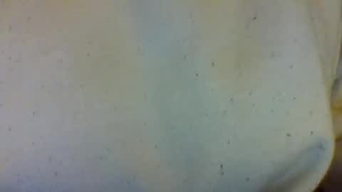 layannalea online show from February 2026 07:04:01 AM