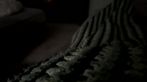 lc6173 online show from December 2025 08:13:01 PM