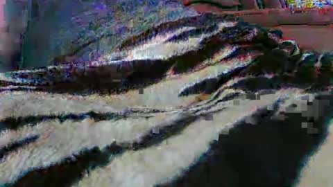 ledmax07 online show from April 2026 01:22:02 AM