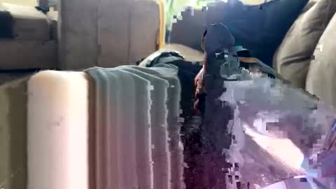 letgetnaughty12345 online show from March 2026 03:06:02 PM